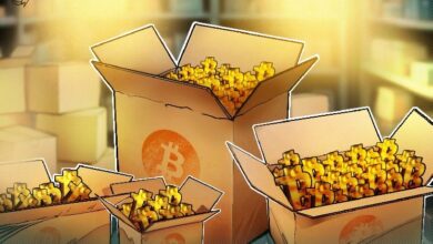 بيتكوين تبحث عن دعم قرب 77 ألف دولار مع اقتراب BTC والذهب من قمم 100 يوم