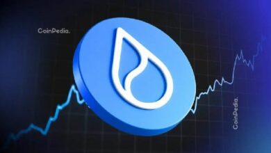 انهيار سعر SUI: هل يتمكن الثيران من استعادة $1؟