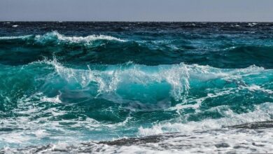 مراهنة بمليوني دولار على تقلب XRP تظهر مع ارتفاع الأسعار