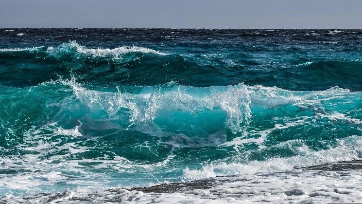 مراهنة بمليوني دولار على تقلب XRP تظهر مع ارتفاع الأسعار