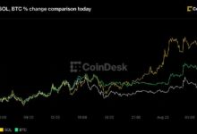 بيتكوين يتجاوز 80 ألف دولار وسولانا يقفز 8% لكن الصعود يواجه تحذير تشبع شرائي