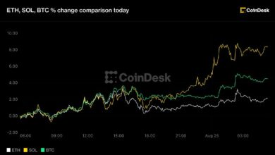 بيتكوين يتجاوز 80 ألف دولار وسولانا يقفز 8% لكن الصعود يواجه تحذير تشبع شرائي