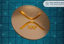 “لا تكتفِ بحفظ XRP”: الرئيس التنفيذي لـ Evernorth يكشف رؤيته لمستقبل العملة