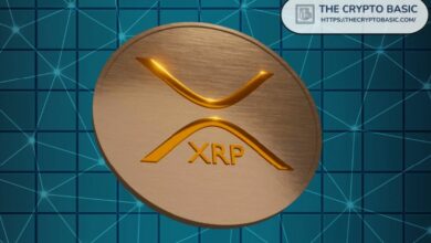 “لا تكتفِ بحفظ XRP”: الرئيس التنفيذي لـ Evernorth يكشف رؤيته لمستقبل العملة