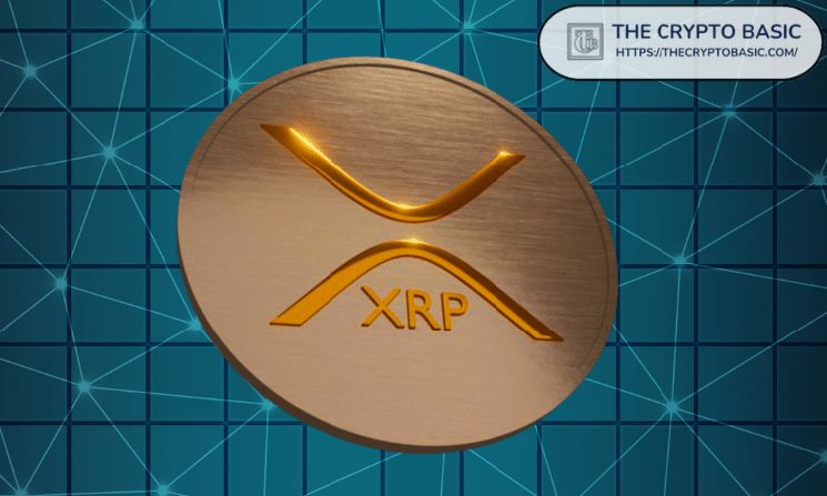 “لا تكتفِ بحفظ XRP”: الرئيس التنفيذي لـ Evernorth يكشف رؤيته لمستقبل العملة