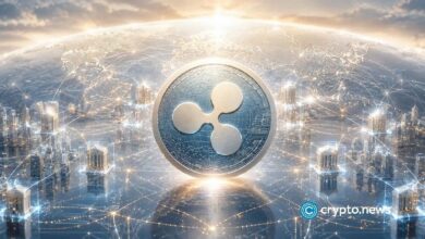 توسيع شراكة ريبل مع جامعة نيويورك أبوظبي في أبحاث البلوكشين حتى 2027