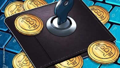 BitBox يعالج ثغرات “خطيرة” في المحفظة قد تعرض الأموال للخطر