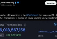 إمدادات العملات المستقرة على شبكة Sui قرب 500 مليون دولار مع تجاوز حجم التداول 65 مليار دولار