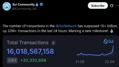إمدادات العملات المستقرة على شبكة Sui قرب 500 مليون دولار مع تجاوز حجم التداول 65 مليار دولار