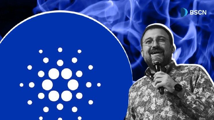 ما الذي حققته ست سنوات من رهان كاردانو بشكل صحيح؟