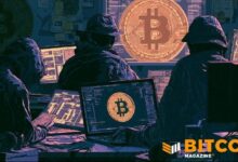 BTCPay Server يعرض مكافأة 3 بيتكوين لاستعادة الأموال المسروقة بعد ثغرة المحفظة