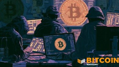 BTCPay Server يعرض مكافأة 3 بيتكوين لاستعادة الأموال المسروقة بعد ثغرة المحفظة