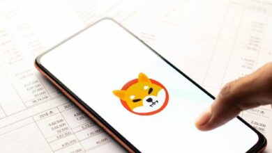 نشاط عملة شيبا إينو يرتفع 15% بينما يسحب كبار الحائزين مليارات من توكن SHIB من البورصات