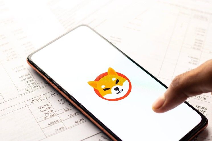 نشاط عملة شيبا إينو يرتفع 15% بينما يسحب كبار الحائزين مليارات من توكن SHIB من البورصات