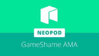 مؤسس GameShame Studios يستعرض خارطة طريق بروتوكول Raijin في الجلسة السادسة من AMA على NeoPod