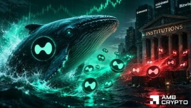 كيف يتحدى تراكم الحيتان لعملة HYPE تحويلاتها المؤسسية البالغة 72 مليون دولار؟