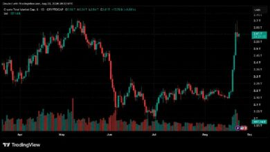 ارتفاع سوق العملات الرقمية: 500 مليار دولار تُضاف مع بلوغ القيمة السوقية 2.74 تريليون