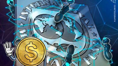 العملات المستقرة المحلية قد تعزز الطلب على العملات المرتبطة بالدولار: صندوق النقد الدولي