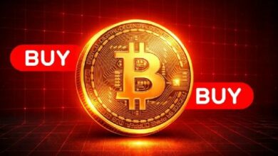 بيتكوين تحافظ على 73 ألف دولار مع تجميع الحيتان — هل 100 ألف هو الهدف التالي؟