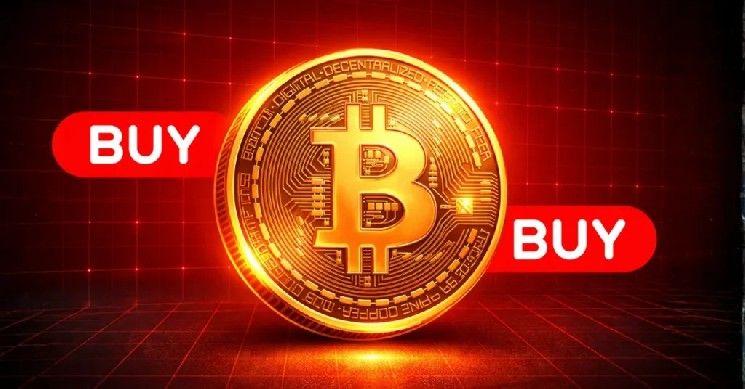 بيتكوين تحافظ على 73 ألف دولار مع تجميع الحيتان — هل 100 ألف هو الهدف التالي؟