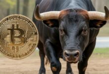 شركة تحليلات: بدأ سباق صعود البيتكوين.. “بقي مستوى واحد فقط؛ إذا اخترقه…”