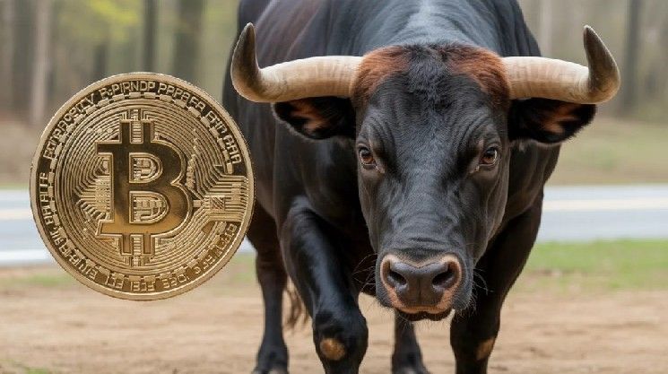 شركة تحليلات: بدأ سباق صعود البيتكوين.. “بقي مستوى واحد فقط؛ إذا اخترقه…”