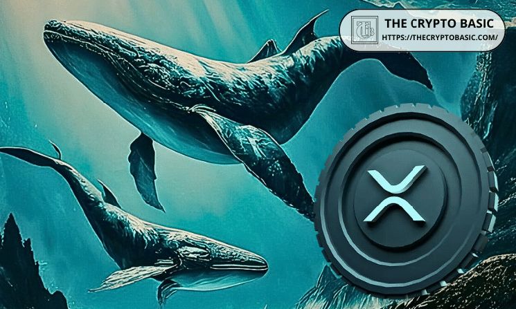 حيتان XRP تحتفظ بـ10 إلى 100 مليون توكن وتضيف 1.23 مليار XRP في 2026 رغم انهيار السعر بنسبة 43%