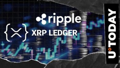 تحذير عاجل من مدير مؤسسة XRPL: إعلان Ripple احتيالي
