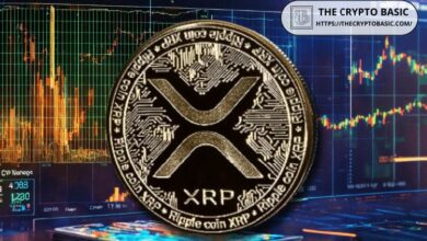 مُحلّل شبكة XRPL يتوقع قفزة “أكثر عنفًا” في نشاط سجّل XRP مع استعداد بناة النظام البيئي للثورة الصاعدة القادمة