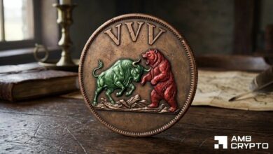 فينيس تحقق أرباحًا قياسية بـ1.1 مليون دولار في الربع – لماذا تنخفض عملة VVV بنسبة 13%؟