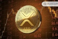 انهيار XRP بنسبة 73% قد يمهد لانتعاشة ضخمة قادمة: هل 11 دولارًا ممكنة؟