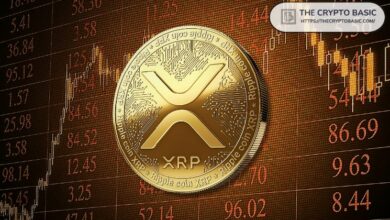 انهيار XRP بنسبة 73% قد يمهد لانتعاشة ضخمة قادمة: هل 11 دولارًا ممكنة؟