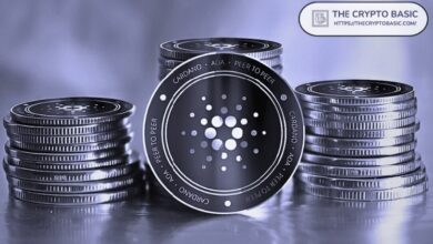 أبرز ممثل لـ Cardano يطلق تذكيرًا حاسمًا لحاملي ADA بموعد الإيردروب في منتصف الليل