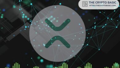 مدفوعات XRP الناجحة يوميًا تتجاوز 2.6 مليون لأول مرة منذ 4 أشهر