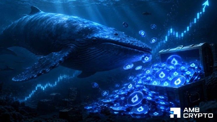 Lighter يرتفع 9% بعد شراء حوت بقيمة 9.1 مليون دولار من LIT – هل 2.70 دولار هي المحطة القادمة؟