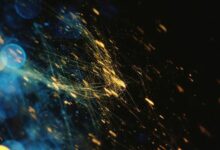 Lithic وLightspark تطلقان برنامج البطاقات