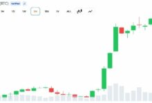 ذروة الدورة الصاعدة للبيتكوين قد تقودها الطلب العالمي على صناديق الاستثمار المتداولة