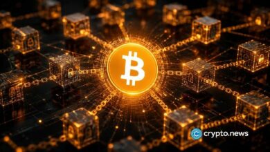 انقسام بيتكوين BIP-110 قد يعرّض حاملي العملة لهجمات إعادة التشغيل