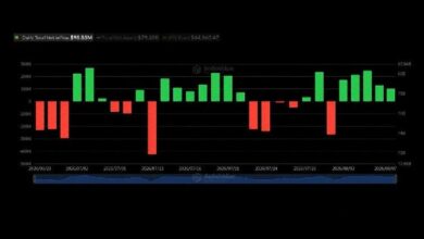 BlackRock’s IBIT يجذب 479 مليون دولار مع تواصل صناديق البيتكوين المتداولة تحقيق المكاسب