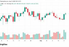 بيتكوين تقفز إلى 65,000 دولار مع تصفية مراكز بيع بقيمة 56 مليون دولار تعاقب المضاربين على الانخفاض
