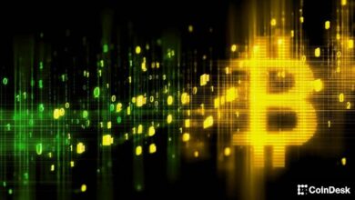 التخلي عن 'الذهب الرقمي': دراسة BPI تشير إلى أن الأميركيين العاديين يفضلون التحكم والاستثمار الصغير