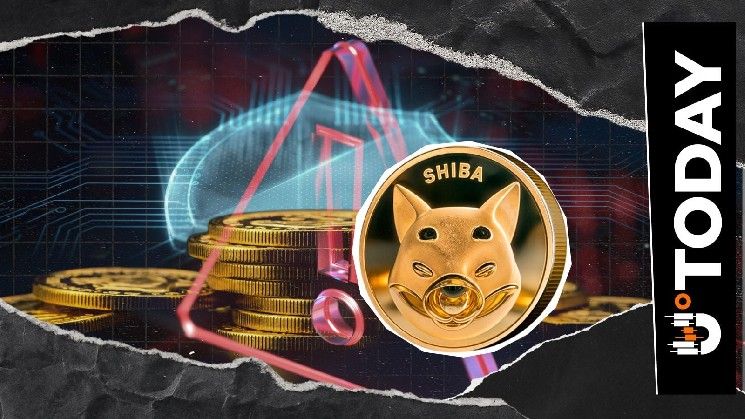 تحذير شيبا إينو: عمليات احتيال مزيفة للهجرة تستهدف مستخدمي شيباريوم