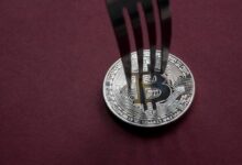 حاملو البيتكوين قد يخسرون عملاتهم الحقيقية إذا باعوا عملات انشقاق BIP-110، حسب المطوّر
