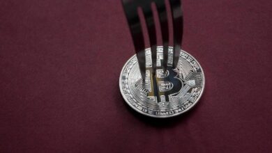 حاملو البيتكوين قد يخسرون عملاتهم الحقيقية إذا باعوا عملات انشقاق BIP-110، حسب المطوّر