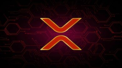 ارتفاع تدفقات صناديق XRP المتداولة بنسبة 72% يفشل في كسر الجمود السعري