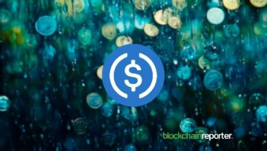سيركل مينت توسّع دعم عملة USDC المحلية إلى ثماني عملات عبر منصات الإيداع والسحب