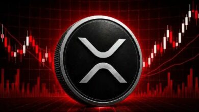 أخبار ريبل: الرئيس التنفيذي لـ Canary Capital يؤكد أن XRP ستفوز بسباق البنية التحتية المالية