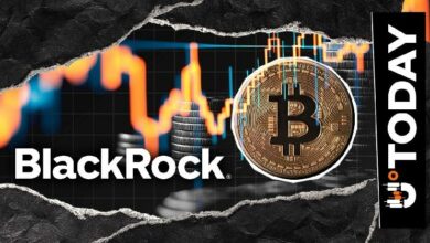 تتجمع بلاك روك على 200 مليون دولار من البيتكوين مع كسر السعر حاجز 80,000 دولار