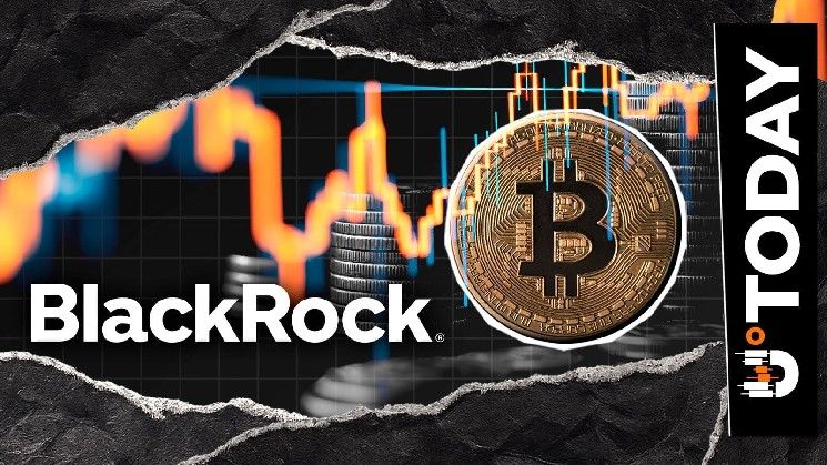 تتجمع بلاك روك على 200 مليون دولار من البيتكوين مع كسر السعر حاجز 80,000 دولار