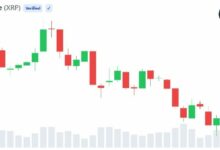 تراجع XRP بنسبة 69% عن القمة مع ارتفاع نشاط المحافظ القائمة